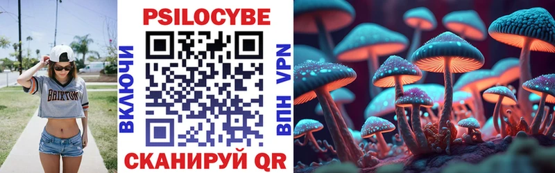 Купить где  Александров  Псилоцибиновые грибы MAGIC MUSHROOMS 